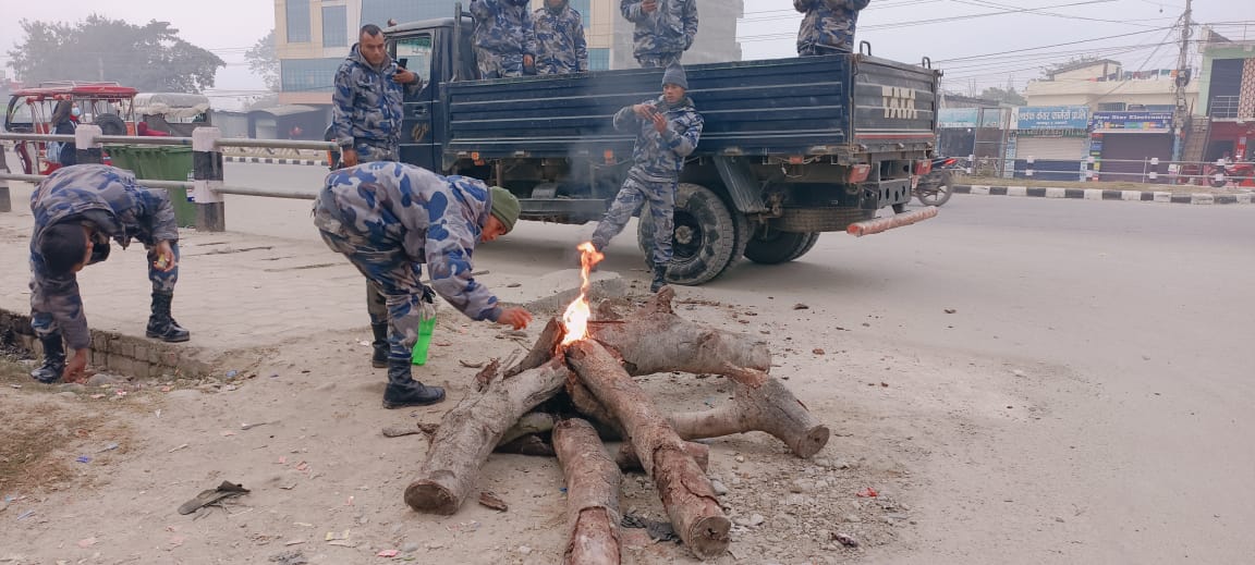 सशस्त्र प्रहरी द्धारा धनगढी बजार क्षेत्र दाउरा वितरण