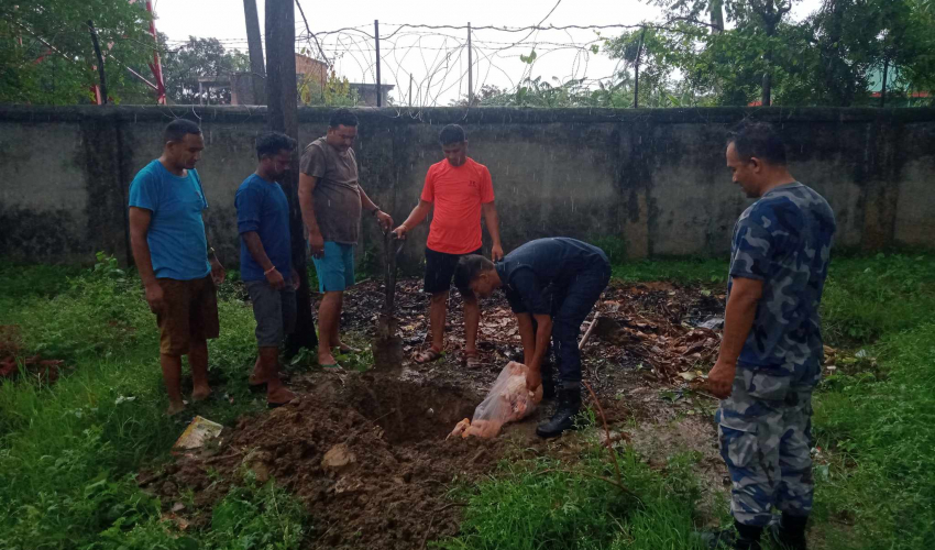 धनगढीबाट प्रतिबन्धित मासु बरामद