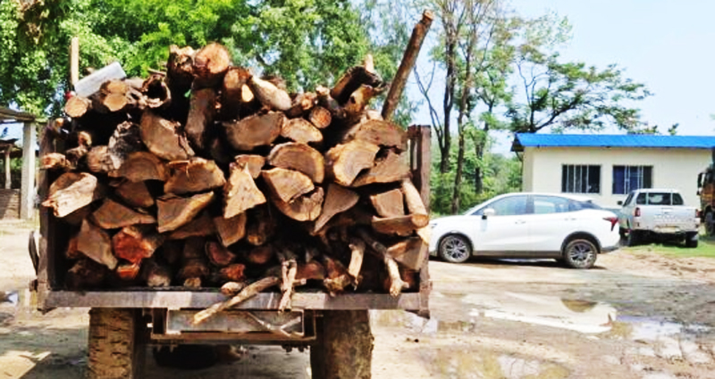 कैलालीबाट एक ट्याक्टर काठ सहित एक जना पक्राउ