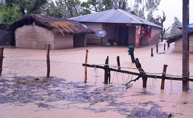 कैलालीको डुबान क्षेत्रमा पानीको सतह घट्दै