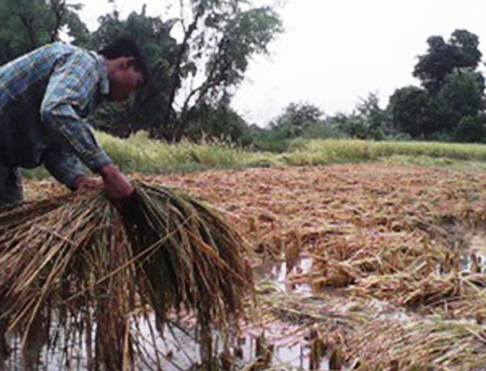 उत्पादन घट्ने, खाद्य संकट बढ्ने