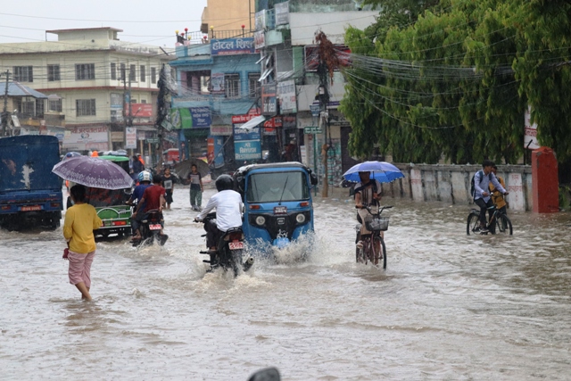 वर्षाका कारण   धनगढी बजारका मुख्य सडक लगाएत बस्तीहरु जलमग्न