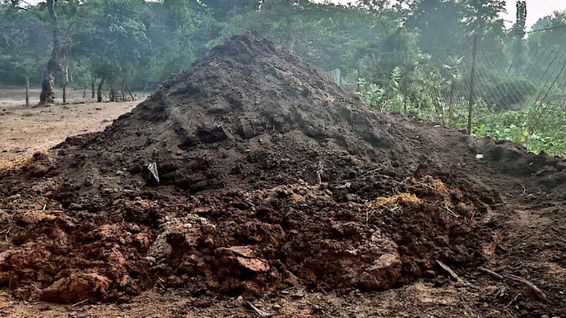 प्राङ्गारिक मलको प्रयोगले माटोको उर्वरा शक्ति बढ्यो