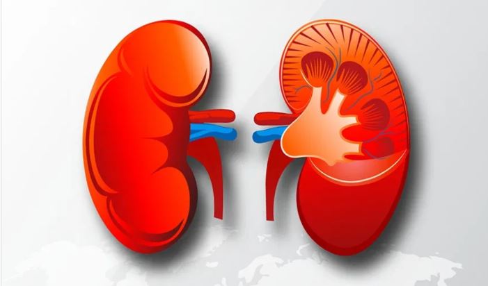 आज विश्व मिर्गाैला दिवस