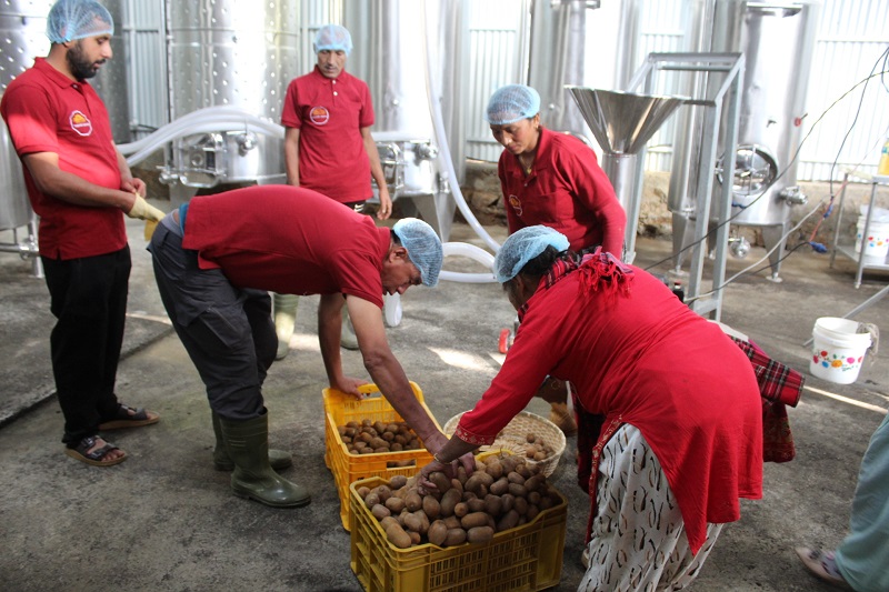 गाउँमै उद्योग स्थापना भएपछि धनकुटाको महालक्ष्मीका किवी उत्पादन गर्ने किसानलाई राहत